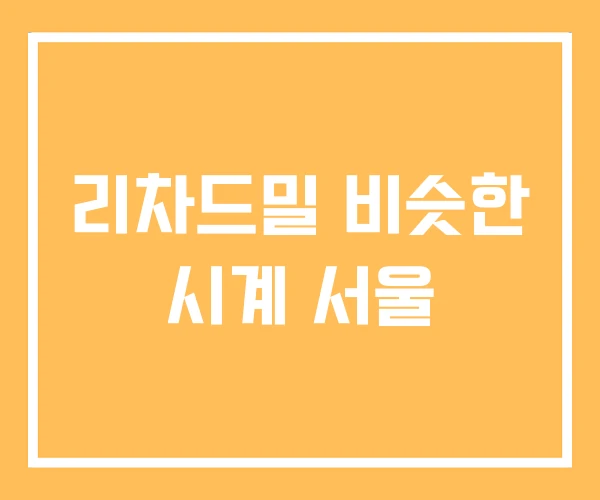 리차드밀 비슷한 시계 서울 리차드밀 비슷한 시계 서울