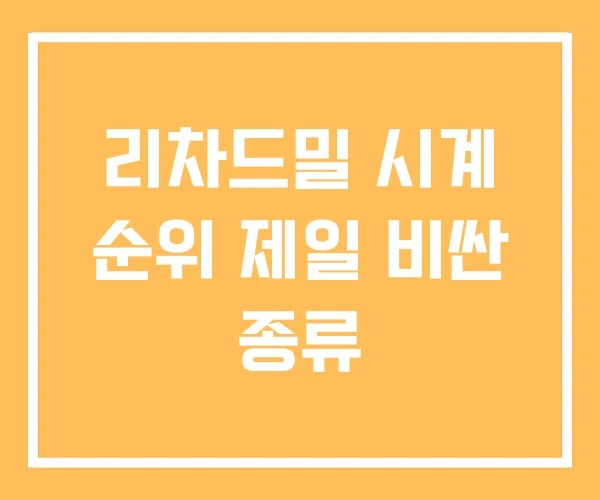 리차드밀 시계 순위 제일 비싼 종류 리차드밀 시계 순위 제일 비싼 종류