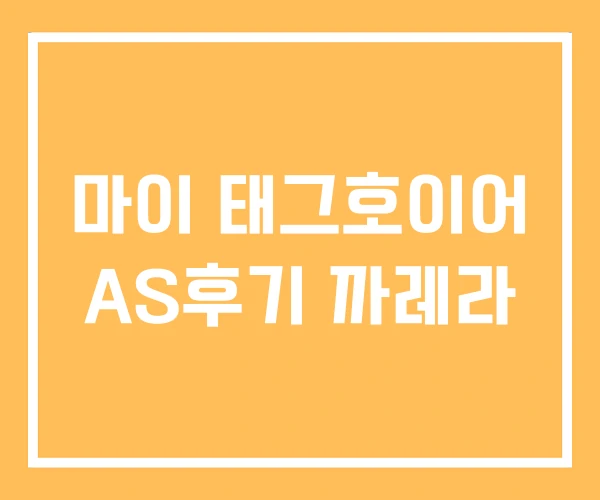 마이 태그호이어 AS후기 까레라 마이 태그호이어 AS후기 까레라