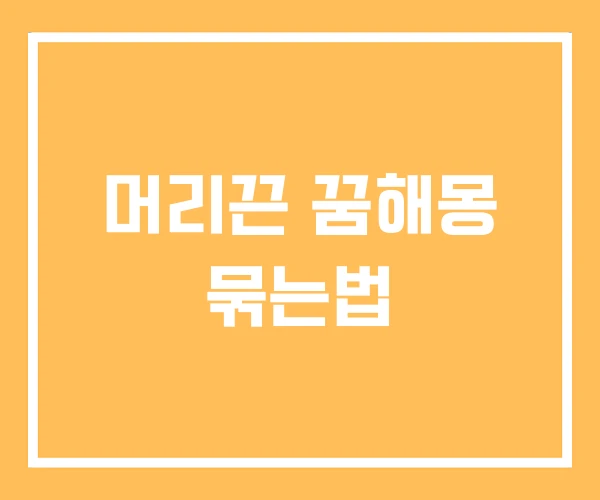 머리끈 꿈해몽 묶는법