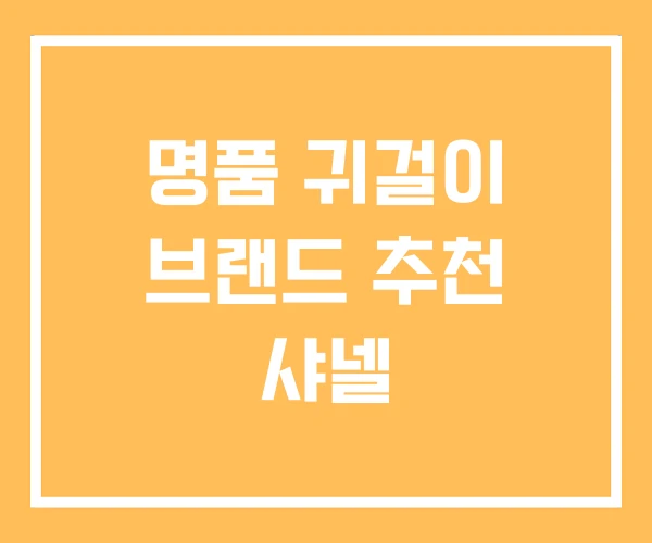 명품 귀걸이 브랜드 추천 샤넬 명품 귀걸이 브랜드 추천 샤넬