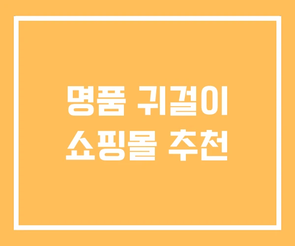명품 귀걸이 쇼핑몰 추천 명품 귀걸이 쇼핑몰 추천