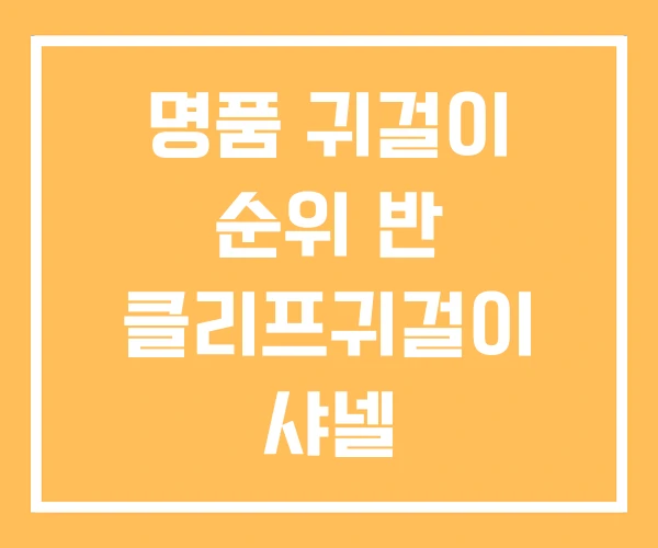 명품 귀걸이 순위 반 클리프귀걸이 샤넬