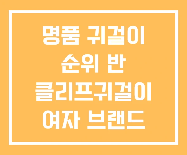 명품 귀걸이 순위 반 클리프귀걸이 여자 브랜드