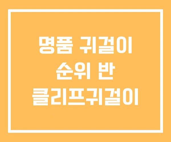 명품 귀걸이 순위 반 클리프귀걸이 명품 귀걸이 순위 반 클리프귀걸이