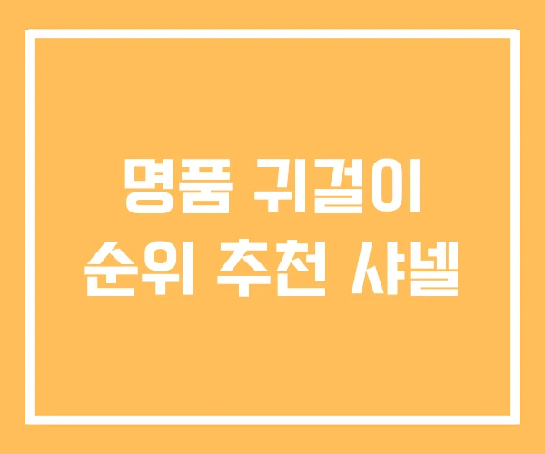 명품 귀걸이 순위 추천 샤넬 명품 귀걸이 순위 추천 샤넬