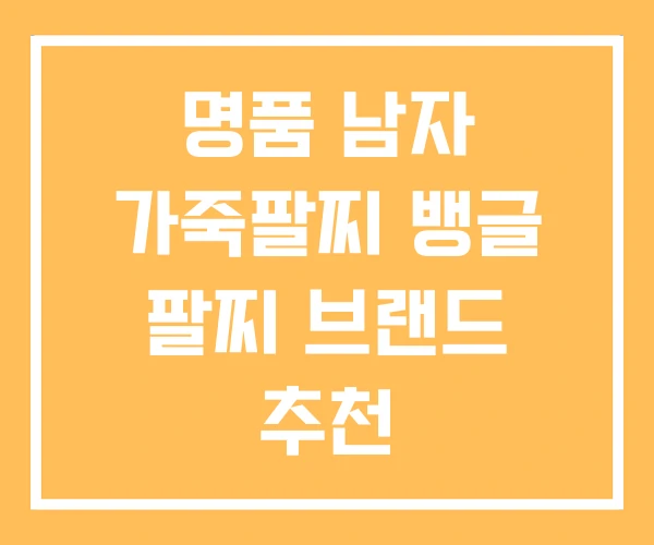 명품 남자 가죽팔찌 뱅글 팔찌 브랜드 추천 명품 남자 가죽팔찌 뱅글 팔찌 브랜드 추천