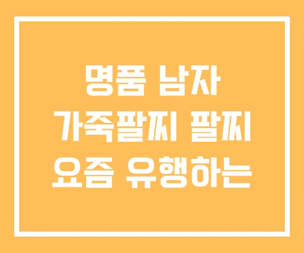 명품 남자 가죽팔찌 팔찌 요즘 유행하는 명품 남자 가죽팔찌 팔찌 요즘 유행하는
