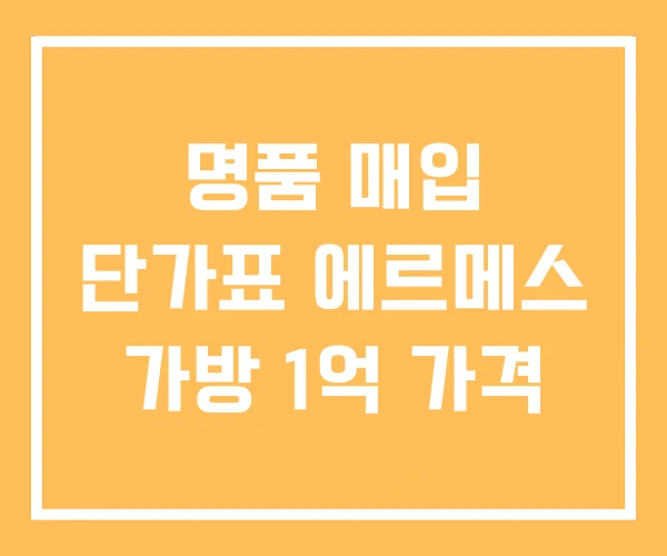 명품 매입 단가표 에르메스 가방 1억 가격 명품 매입 단가표 에르메스 가방 1억 가격