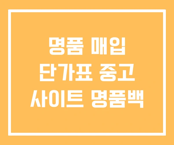 명품 매입 단가표 중고 사이트 명품백 명품 매입 단가표 중고 사이트 명품백