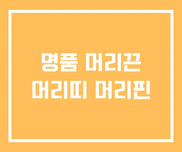 명품 머리끈 머리띠 머리핀 명품 머리끈 머리띠 머리핀