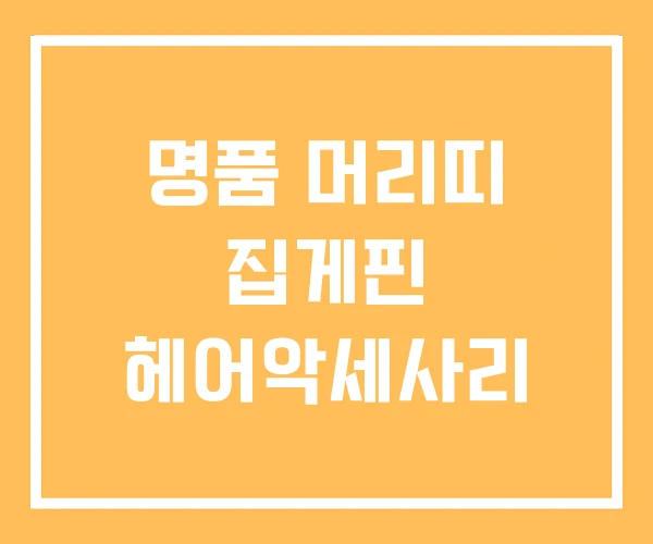 명품 머리띠 집게핀 헤어악세사리 명품 머리띠 집게핀 헤어악세사리
