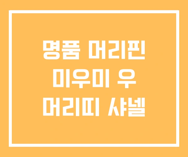 명품 머리핀 미우미 우 머리띠 샤넬 명품 머리핀 미우미 우 머리띠 샤넬