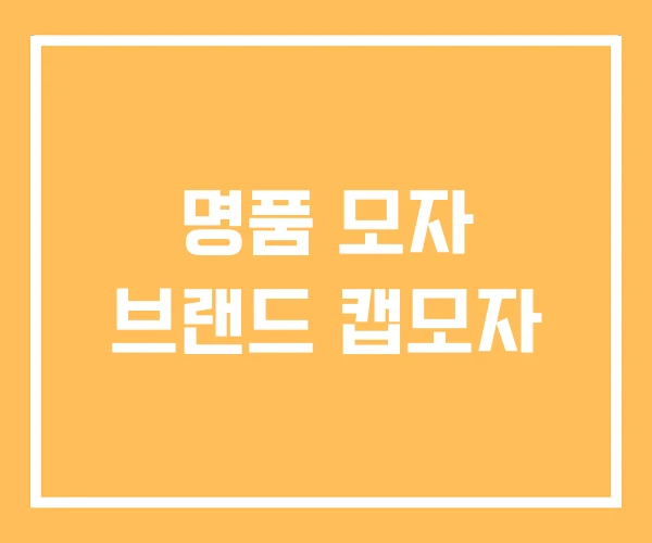 명품 모자 브랜드 캡모자