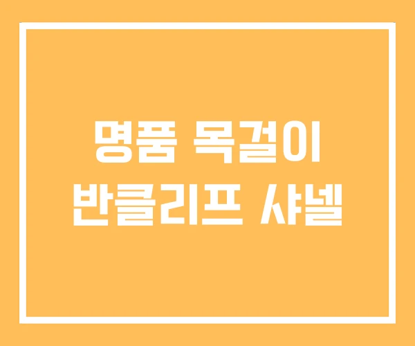 명품 목걸이 반클리프 샤넬 명품 목걸이 반클리프 샤넬