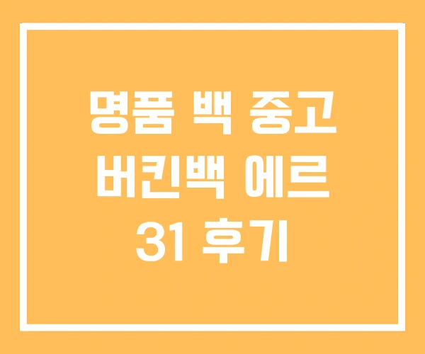 명품 백 중고 버킨백 에르 31 후기 명품 백 중고 버킨백 에르 31 후기