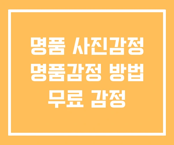 명품 사진감정 명품감정 방법 무료 감정