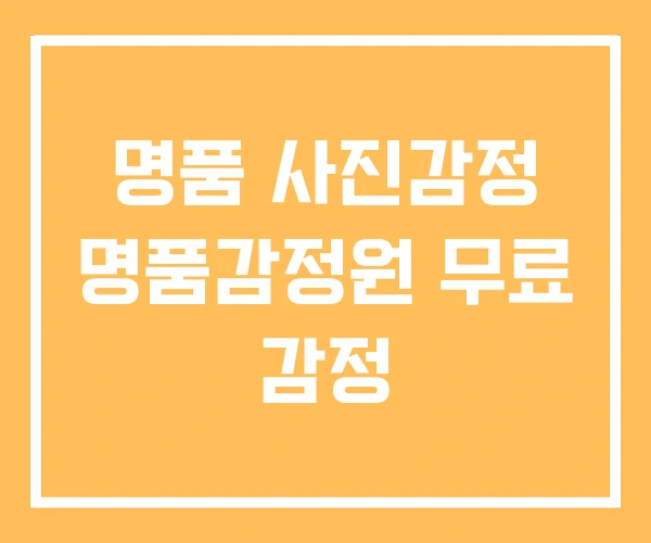 명품 사진감정 명품감정원 무료 감정 명품 사진감정 명품감정원 무료 감정