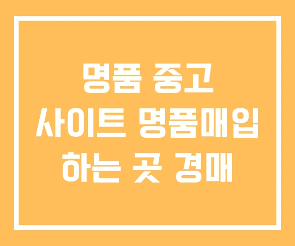 명품 중고 사이트 명품매입 하는 곳 경매