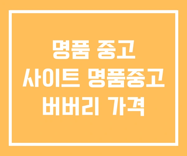 명품 중고 사이트 명품중고 버버리 가격