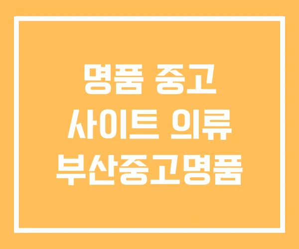 명품 중고 사이트 의류 부산중고명품 명품 중고 사이트 의류 부산중고명품