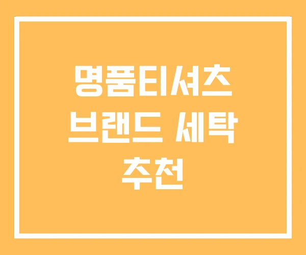 명품티셔츠 브랜드 세탁 추천 명품티셔츠 브랜드 세탁 추천