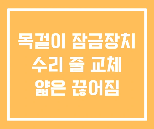 목걸이 잠금장치 수리 줄 교체 얇은 끊어짐 목걸이 잠금장치 수리 줄 교체 얇은 끊어짐