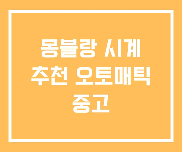 몽블랑 시계 추천 오토매틱 중고