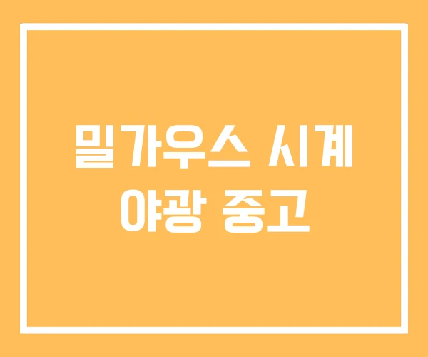 밀가우스 시계 야광 중고 밀가우스 시계 야광 중고