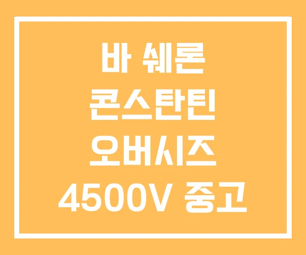 바 쉐론 콘스탄틴 오버시즈 4500V 중고 청판 가격