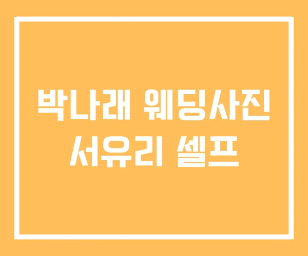 박나래 웨딩사진 서유리 셀프 박나래 웨딩사진 서유리 셀프