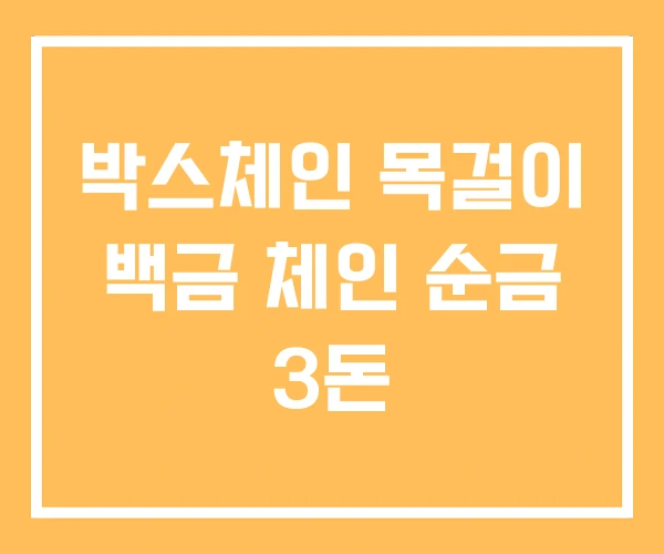 박스체인 목걸이 백금 체인 순금 3돈 박스체인 목걸이 백금 체인 순금 3돈