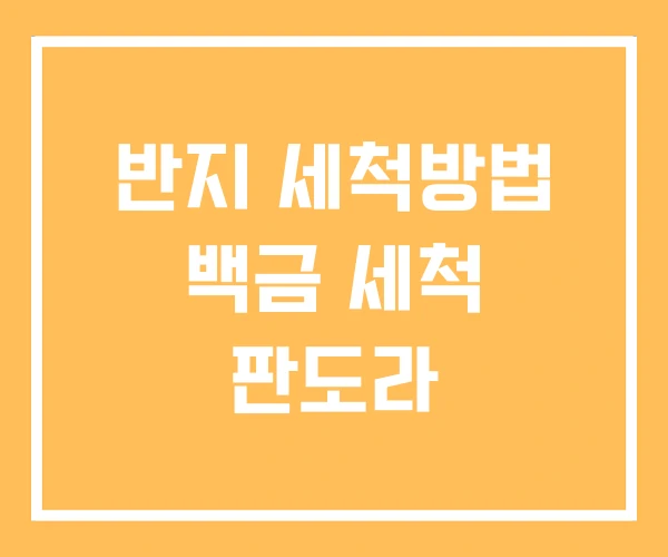 반지 세척방법 백금 세척 판도라 반지 세척방법 백금 세척 판도라