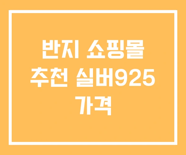 반지 쇼핑몰 추천 실버925 가격 반지 쇼핑몰 추천 실버925 가격