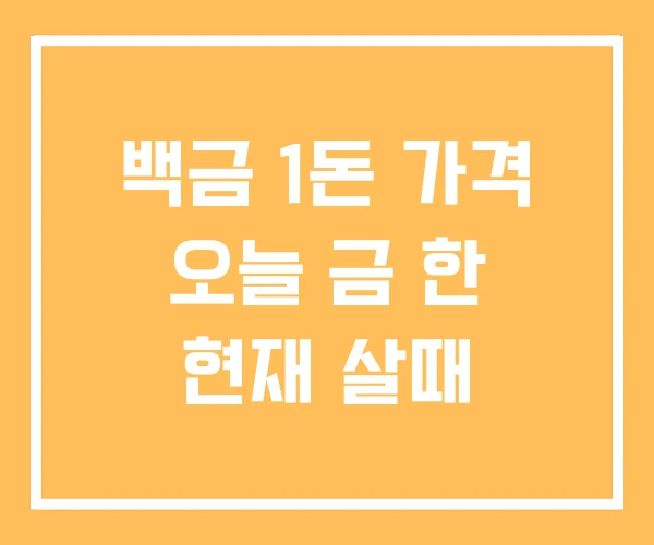 백금 1돈 가격 오늘 금 한 현재 살때 백금 1돈 가격 오늘 금 한 현재 살때