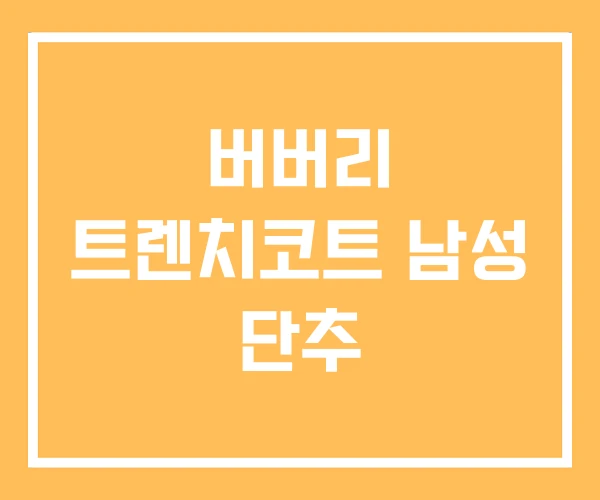 버버리 트렌치코트 남성 단추 버버리 트렌치코트 남성 단추