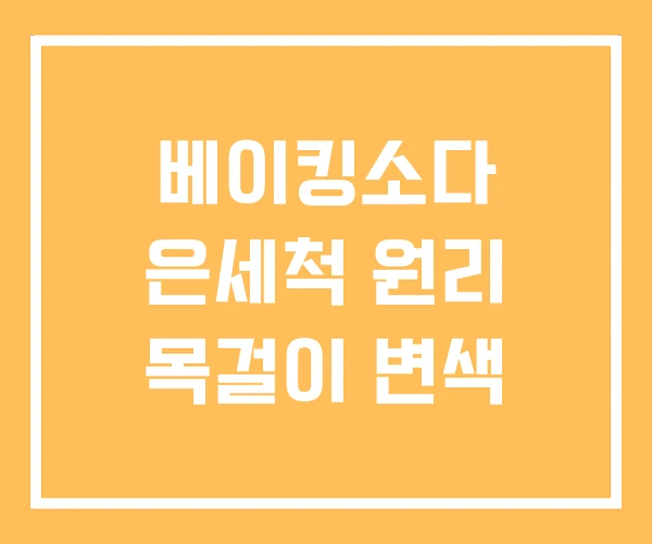 베이킹소다 은세척 원리 목걸이 변색 베이킹소다 은세척 원리 목걸이 변색