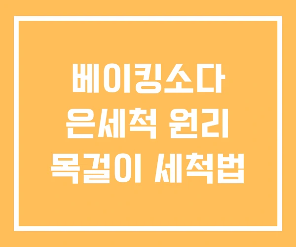 베이킹소다 은세척 원리 목걸이 세척법 베이킹소다 은세척 원리 목걸이 세척법