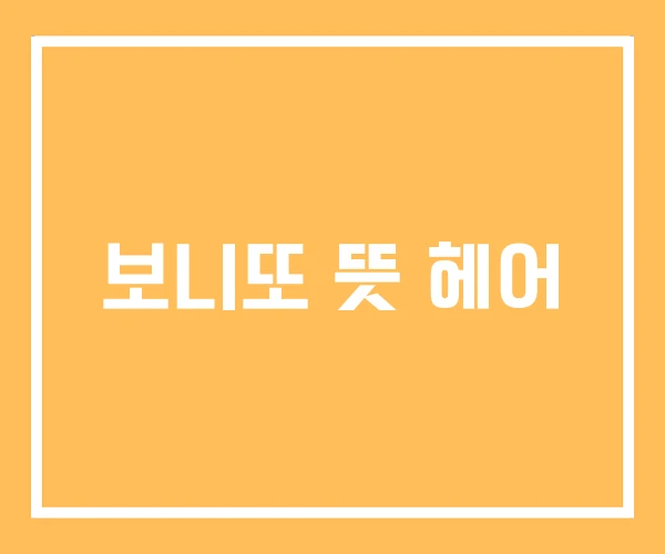 보니또 뜻 헤어 보니또 뜻 헤어