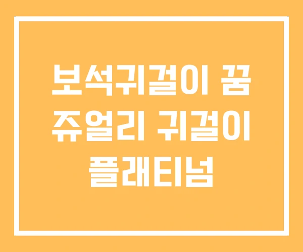 보석귀걸이 꿈 쥬얼리 귀걸이 플래티넘