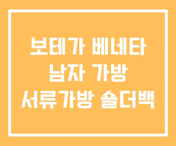 보테가 베네타 남자 가방 서류가방 숄더백