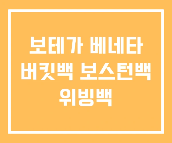 보테가 베네타 버킷백 보스턴백 위빙백 보테가 베네타 버킷백 보스턴백 위빙백