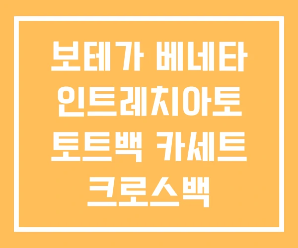보테가 베네타 인트레치아토 토트백 카세트 크로스백 보테가 베네타 인트레치아토 토트백 카세트 크로스백