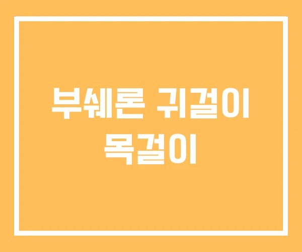 부쉐론 귀걸이 목걸이