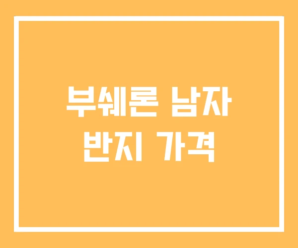 부쉐론 남자 반지 가격