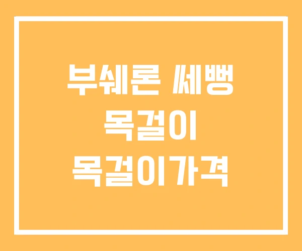 부쉐론 쎄뻥 목걸이 목걸이가격