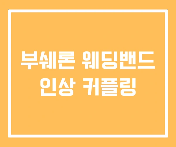 부쉐론 웨딩밴드 인상 커플링