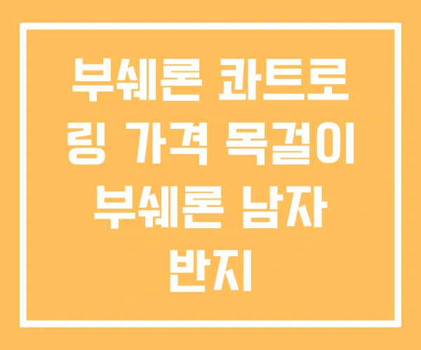 부쉐론 콰트로 링 가격 목걸이 부쉐론 남자 반지