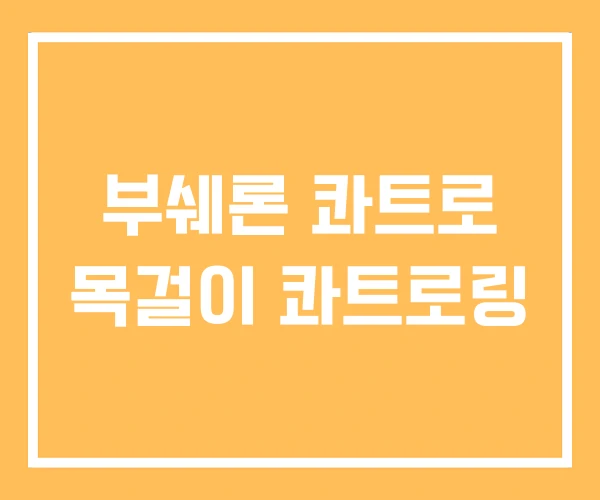 부쉐론 콰트로 목걸이 콰트로링