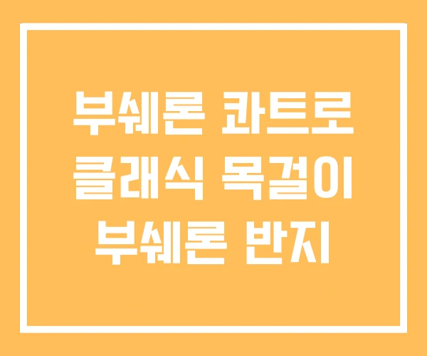 부쉐론 콰트로 클래식 목걸이 부쉐론 반지 부쉐론 콰트로 클래식 목걸이 부쉐론 반지
